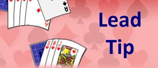 Lead Tip #5